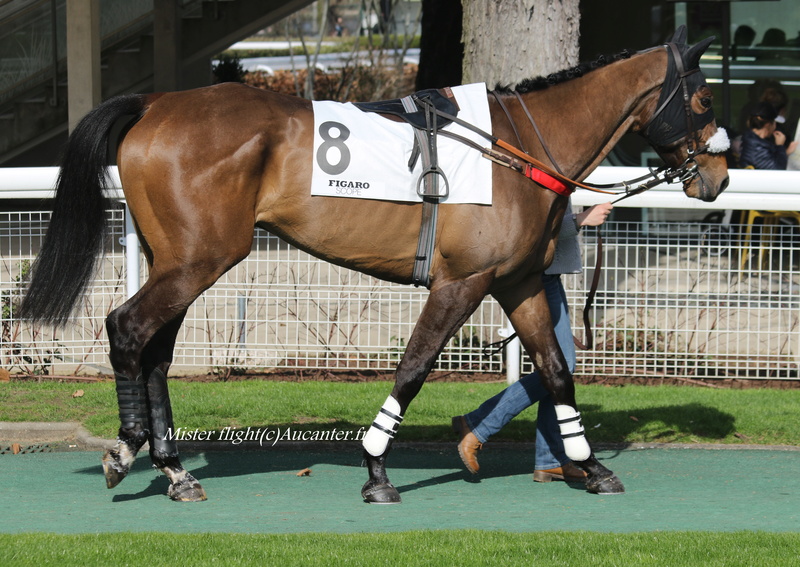 Photos Auteuil 12-03-2017 5j6a3517