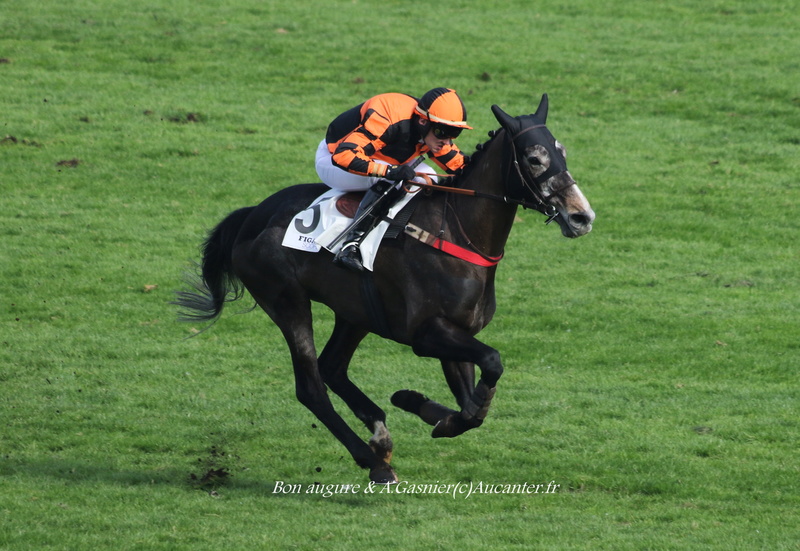 Photos Auteuil 12-03-2017 5j6a3611