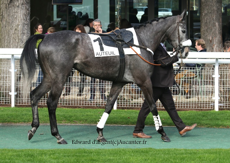 Photos Auteuil 12-03-2017 5j6a3816