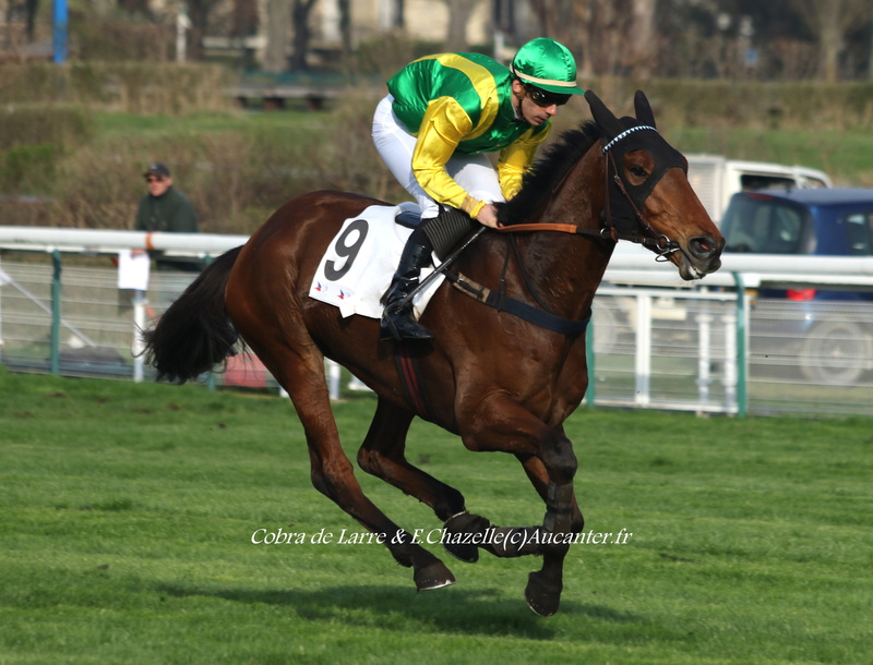 Photos Auteuil 12-03-2017 5j6a4023