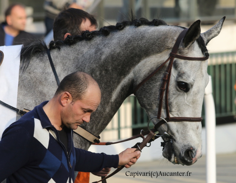 Photos Auteuil 12-03-2017 5j6a4118