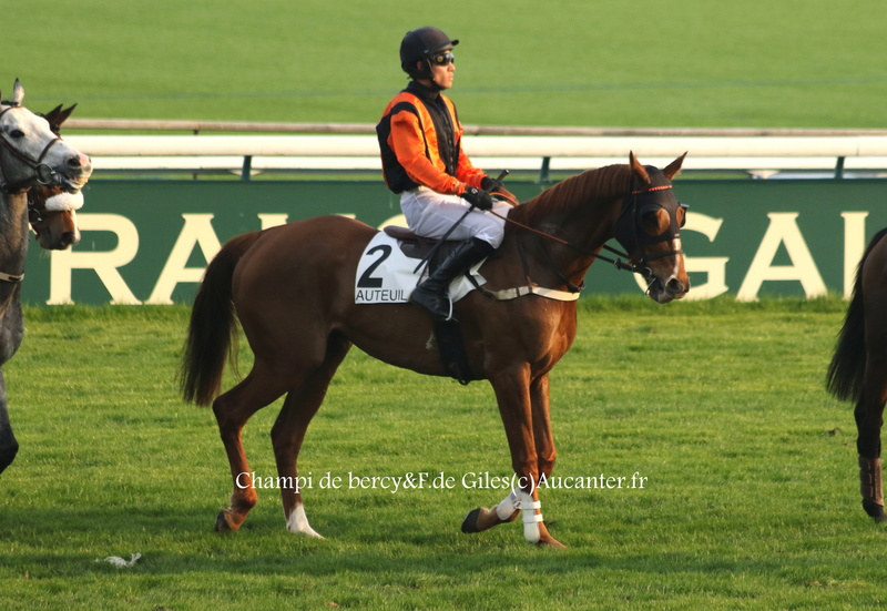 Photos Auteuil 12-03-2017 5j6a4215