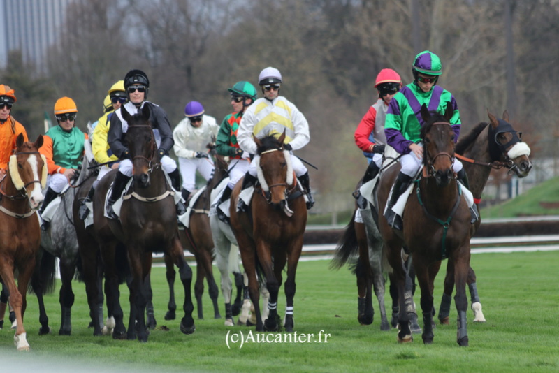 Photos Auteuil 18-03-2017 5j6a4624