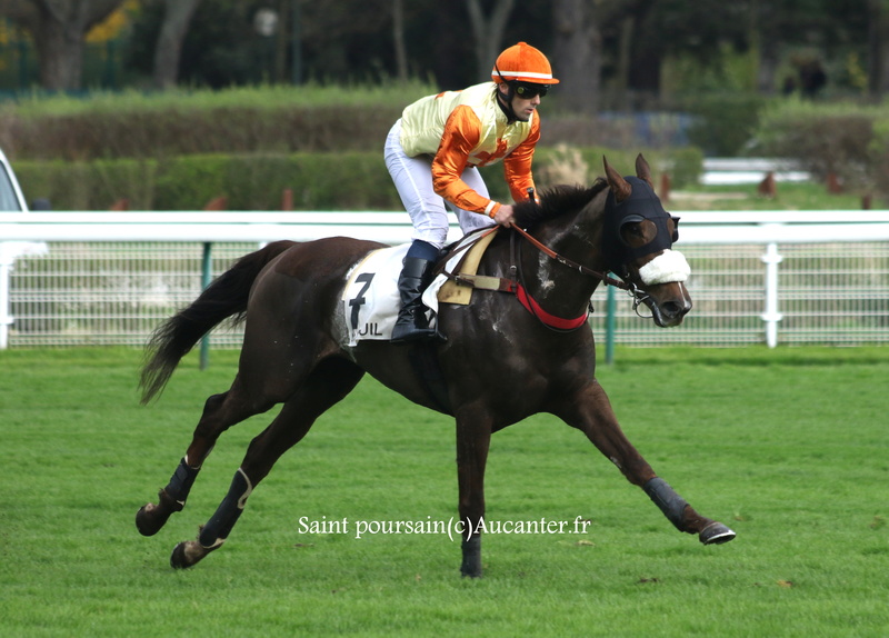 Photos Auteuil 18-03-2017 5j6a4718