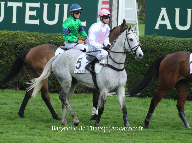 Photos Auteuil 18-03-2017 5j6a4734