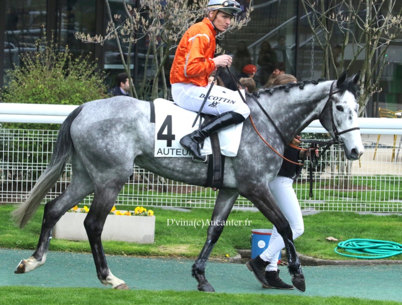 Photos Auteuil 18-03-2017 5j6a4820