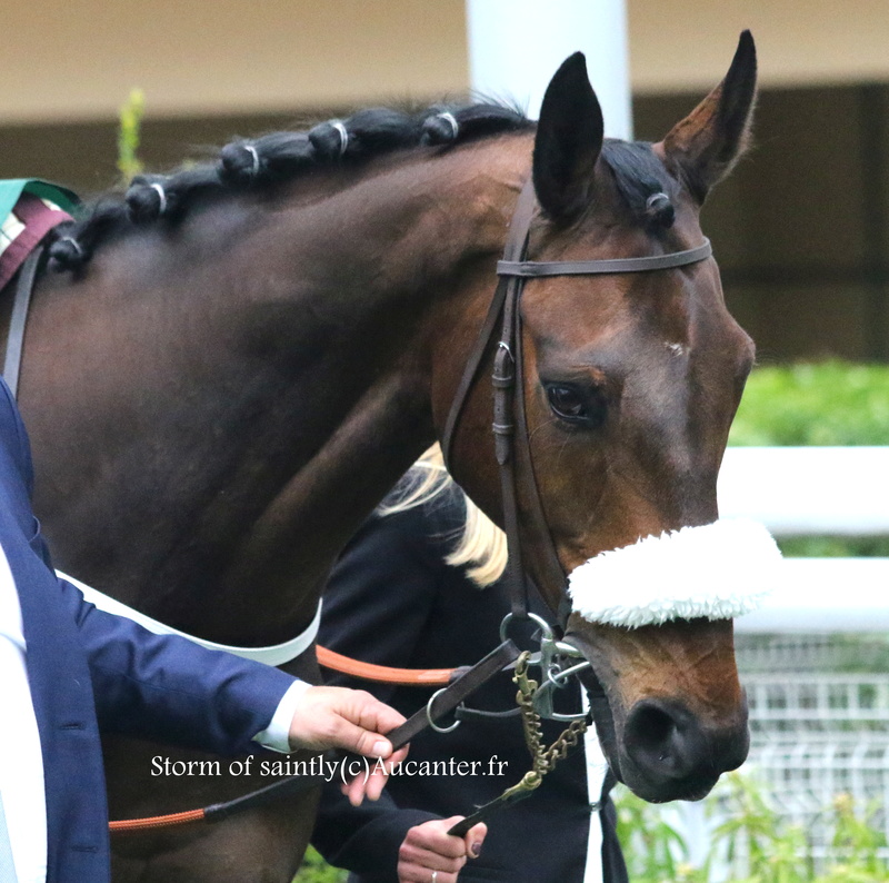 Photos Auteuil 18-03-2017 5j6a5013