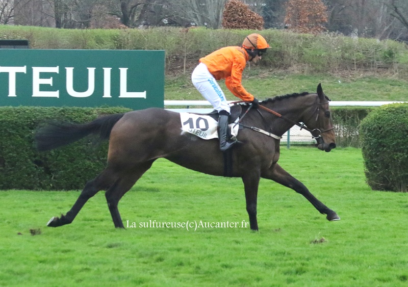 Photos Auteuil 18-03-2017 5j6a5024