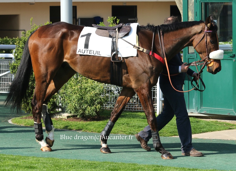 Photos Auteuil 26-03-2017 5j6a5717