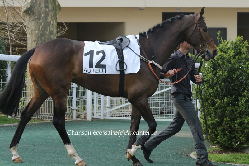 Photos Auteuil 26-03-2017 5j6a6024