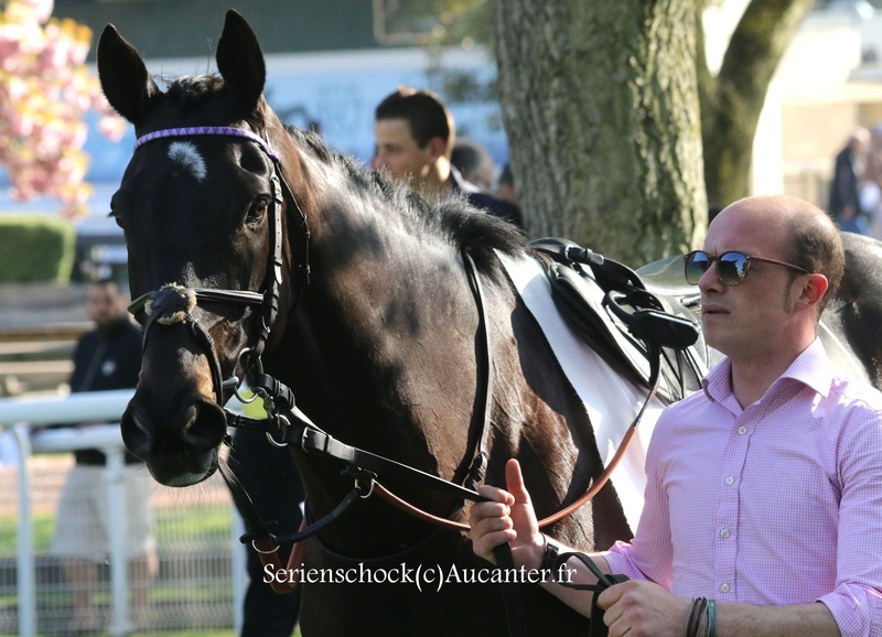 Photos Auteuil 8-04-2017 5j6a7312