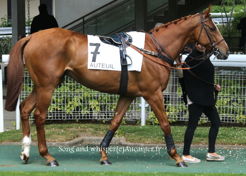 Photos Auteuil 29-04-2017 5j6a7915