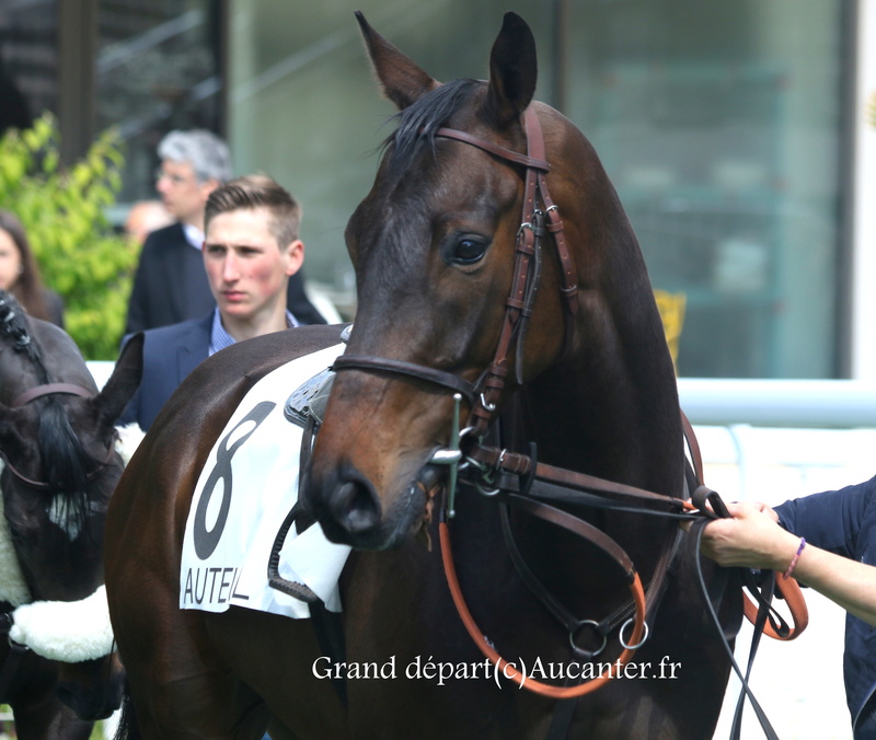 Photos Auteuil 29-04-2017 5j6a8013