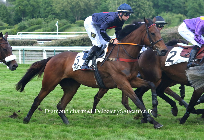 Photos Auteuil 29-04-2017 - Page 2 5j6a8613