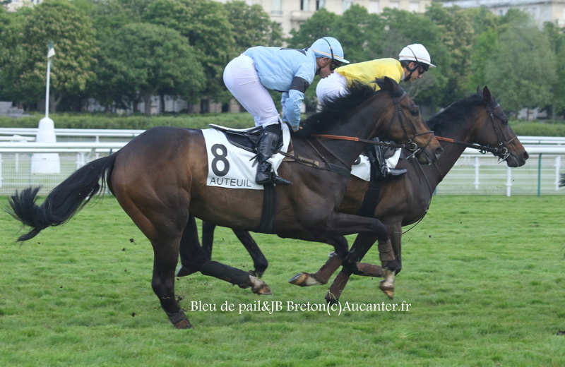 Photos Auteuil 29-04-2017 - Page 2 5j6a8616