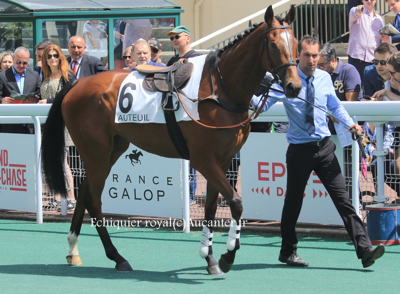 Photos Auteuil 21-05-2017 Grand Steeple 5j6a8819