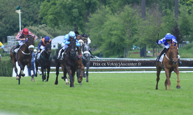 Photos Auteuil 21-05-2017 Grand Steeple 5j6a9013