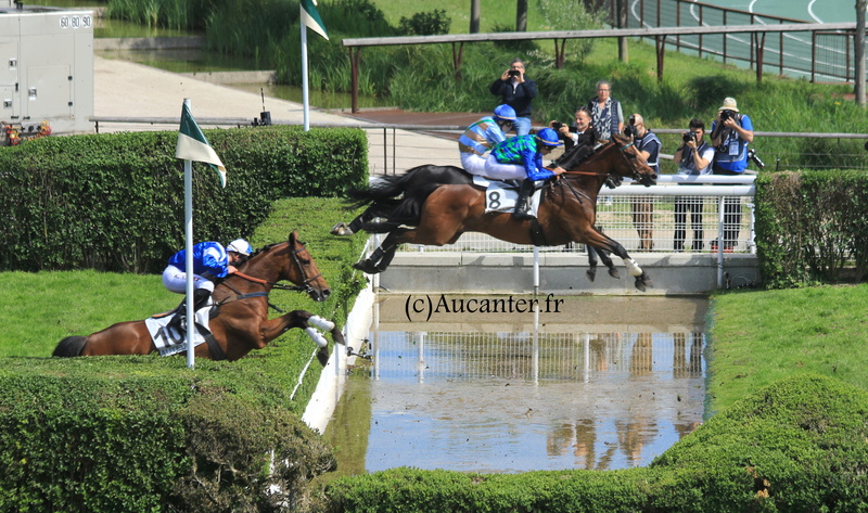 Photos Auteuil 21-05-2017 Grand Steeple 5j6a9314