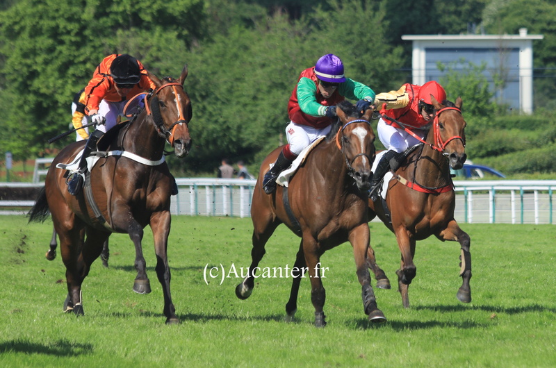 Photos Auteuil 21-05-2017 Grand Steeple - Page 2 5j6a9520