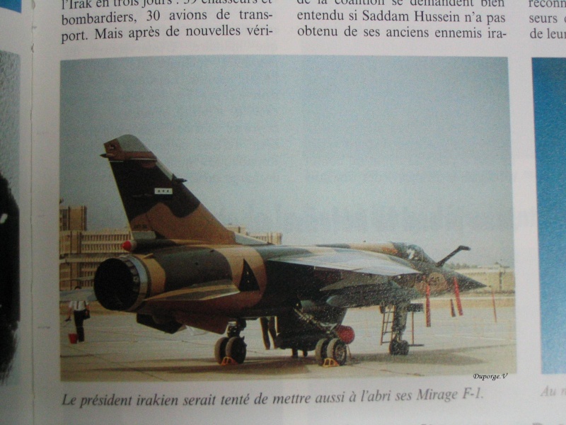 mirage f1 daguet - Mirage F1 Opération Daguet (Terminé)  Img_8542