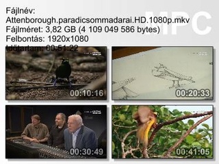 Attenborough Paradicsommadarai (Attenborough's Paradise Birds) 2015 HDTVRip 1080p Hun mkv Attenb15