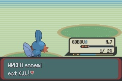 Soluce Pokémon Emeraude Image_53