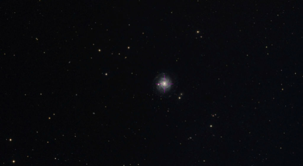 Un petit nouveau dans la famille - C8 3a11