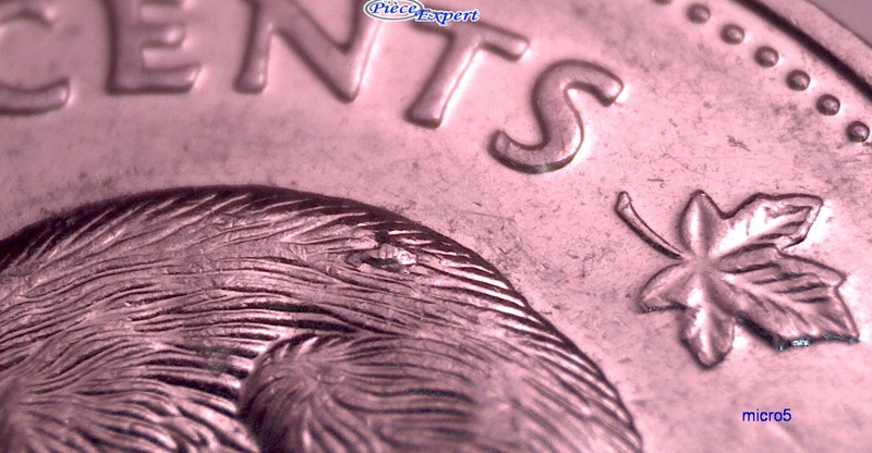 2000 - Éclat de Coin sur Dos du Castor Cpe_i240