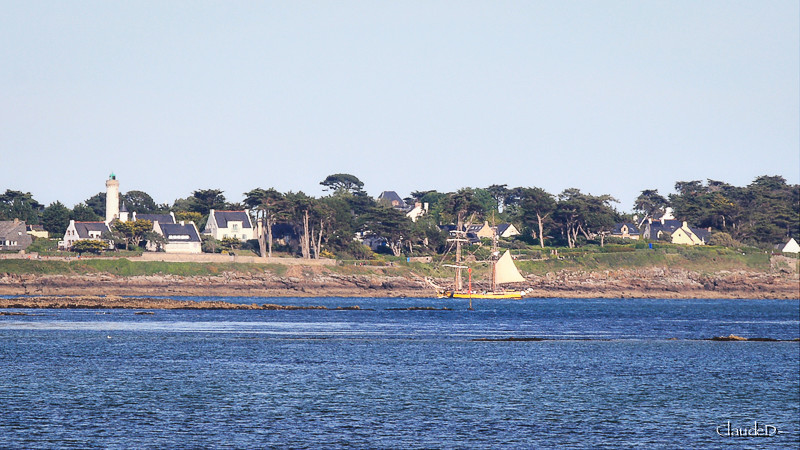 Avis aux amateurs... (Semaine du Golfe 2017) - Page 2 La_gra10