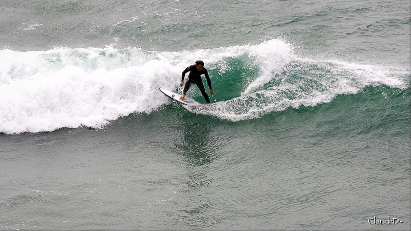 Quiberon, presqu'ile et côte sauvage Quib1110