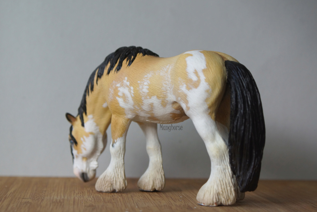 ~ Pastel plein les doigts et autres customs : jument pinto schleich pintaloosa p7 ~ - Page 5 Dsc07529