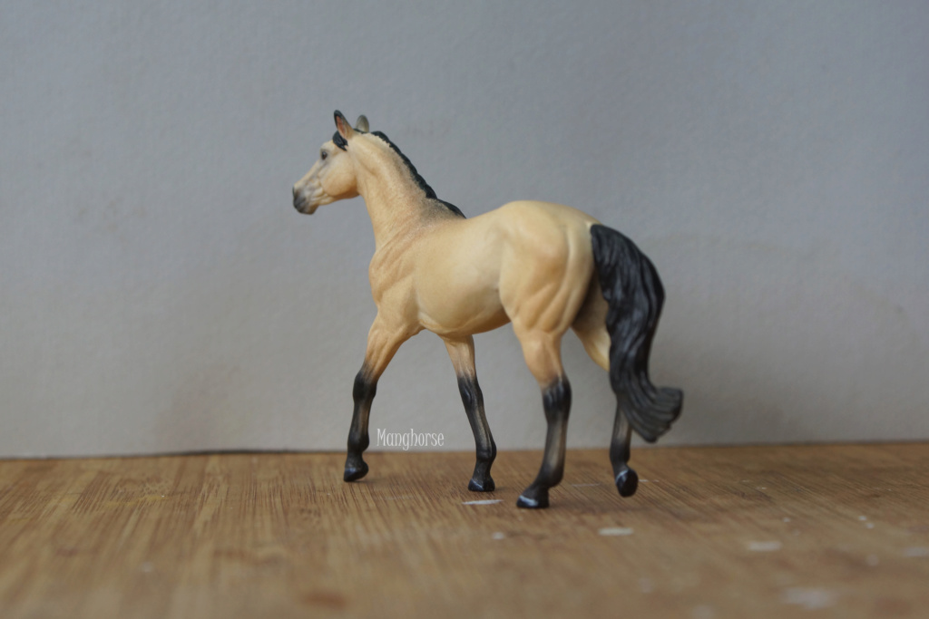 ~ Pastel plein les doigts et autres customs : jument pinto schleich pintaloosa p7 ~ - Page 5 Dsc07623