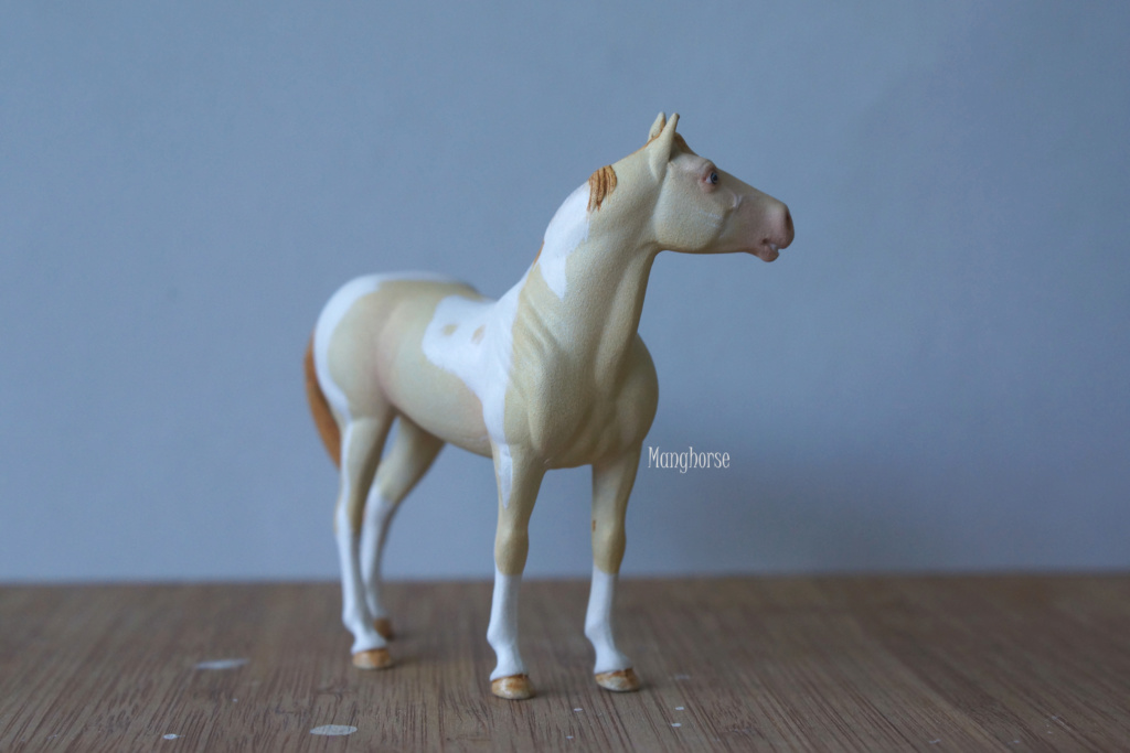 ~ Pastel plein les doigts et autres customs : jument pinto schleich pintaloosa p7 ~ - Page 5 Dsc07722