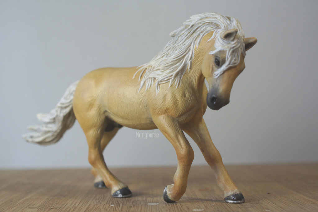 ~ Pastel plein les doigts et autres customs : jument pinto schleich pintaloosa p7 ~ - Page 6 Dsc09011