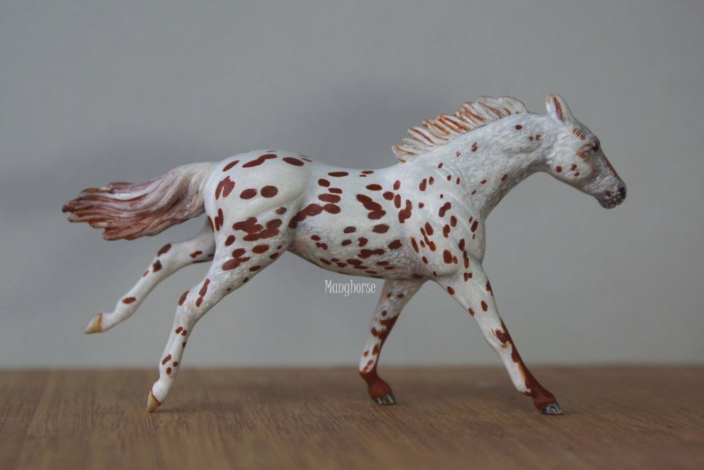 ~ Pastel plein les doigts et autres customs : jument pinto schleich pintaloosa p7 ~ - Page 6 Dsc09113