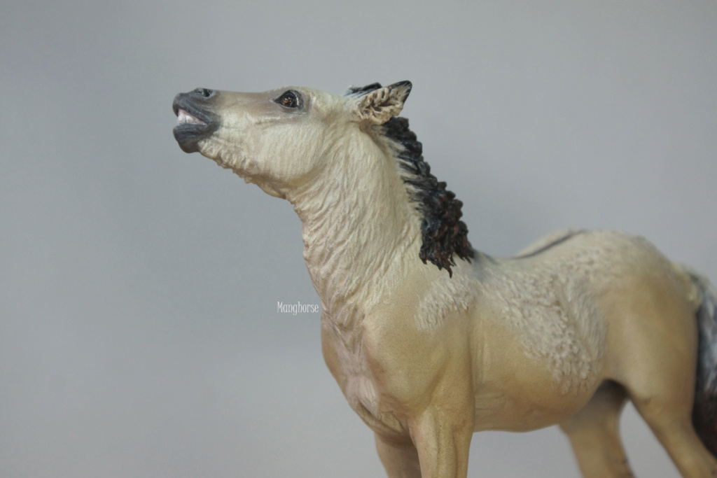 ~ Pastel plein les doigts et autres customs : jument pinto schleich pintaloosa p7 ~ - Page 6 Dsc09423