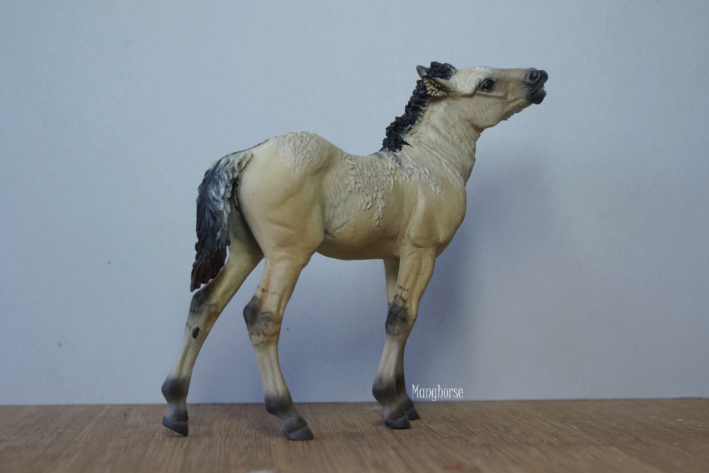 ~ Pastel plein les doigts et autres customs : jument pinto schleich pintaloosa p7 ~ - Page 6 Dsc09513