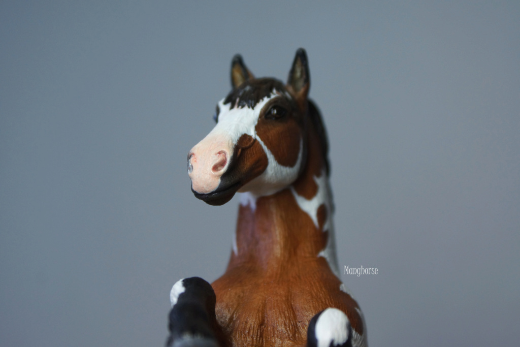 ~ Pastel plein les doigts et autres customs : jument pinto schleich pintaloosa p7 ~ - Page 7 Dsc09627