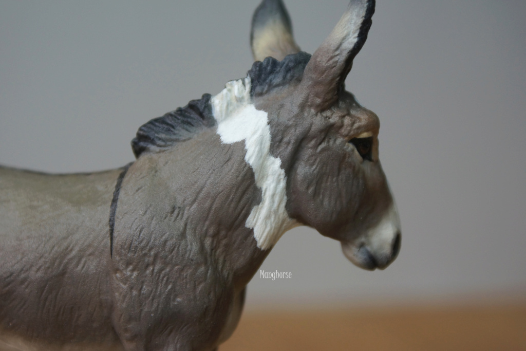 ~ Pastel plein les doigts et autres customs : jument pinto schleich pintaloosa p7 ~ - Page 7 Dsc09723