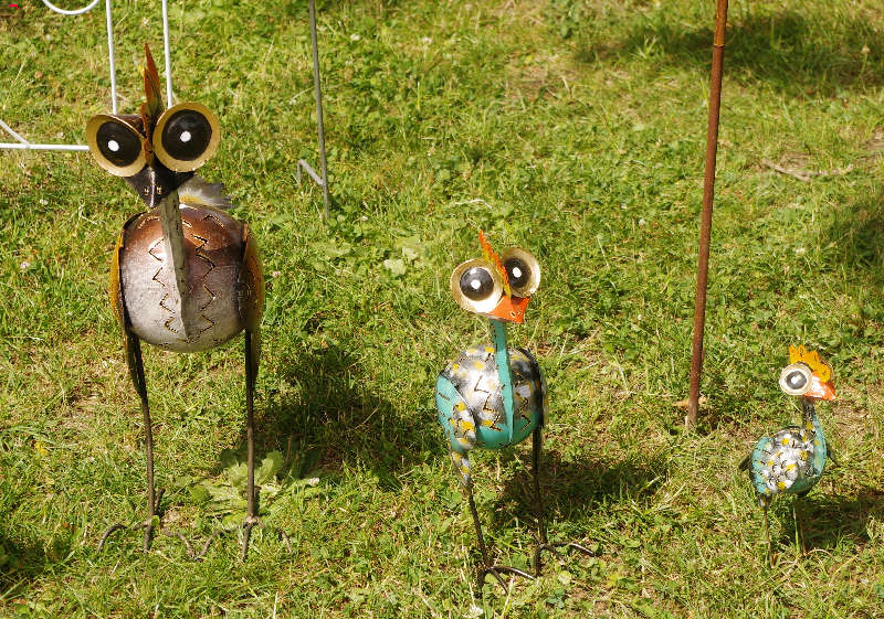 Rendez vous au Jardin Imgp1324