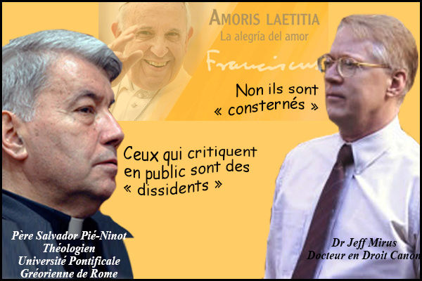 Les préoccupations au sujet du Pape François ne sont pasenracinées dans la dissidence, mais dans la  Sans-t11