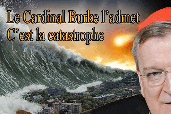 Le Cardinal Burke admet la catastrophe Et alors maintenant Sans-t12