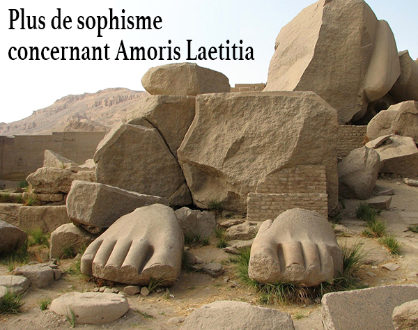 Plus de sophisme  concernant Amoris Laetitia  Sophis10