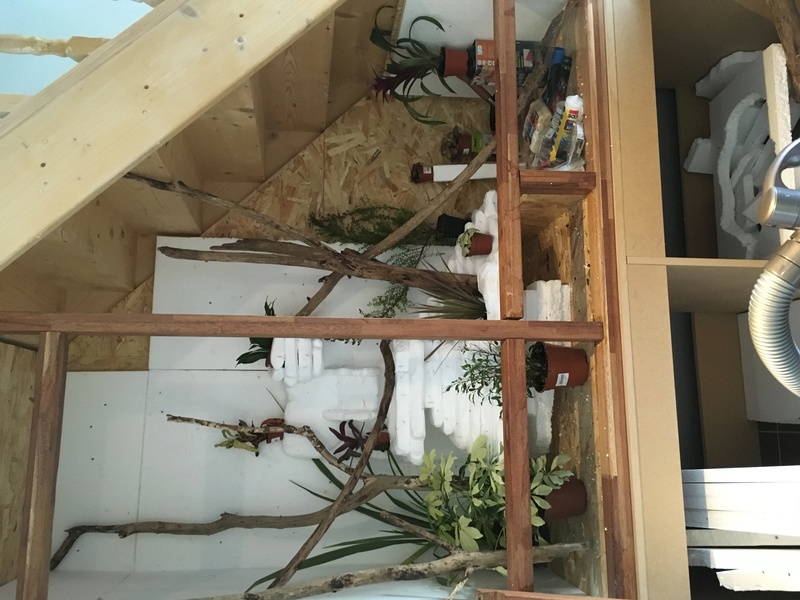 Construction du terrarium de mon physignatus Img_0019