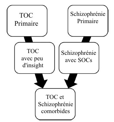 Schizophrénie et SOC TOC comorbidité