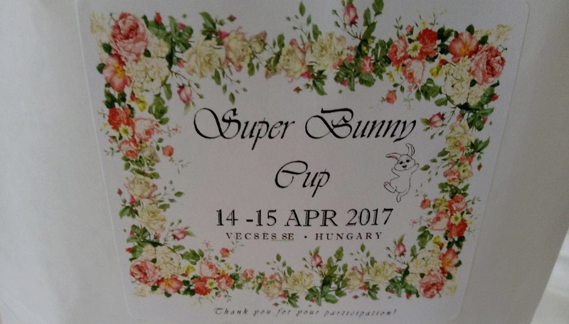«Super Bunny Cup» (Будапешт, Венгрия) - Страница 2 18110010
