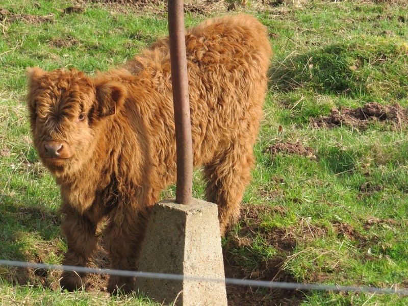 Samedi 25 mars 2017 au Schoeneck Img_1833