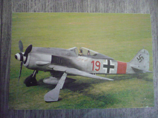 Focke-Wulf FW 190F-8/R1 « Würger » (Revell 1/32) - Page 11 P1120610