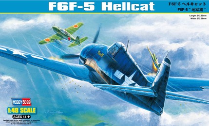 Grumman F6F 5 Hellcat 10137010