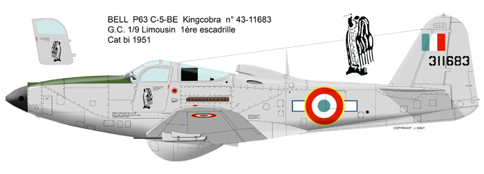 Bell P 63 Kingcobra 21_1610